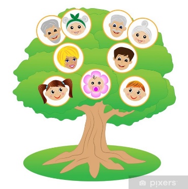 Plakat Zdjęcia rodziny na drzewo genealogiczne - PIXERS.PL