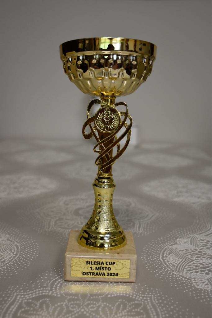 Puchar za zajęcie 1 miejsca w zawodach karate.