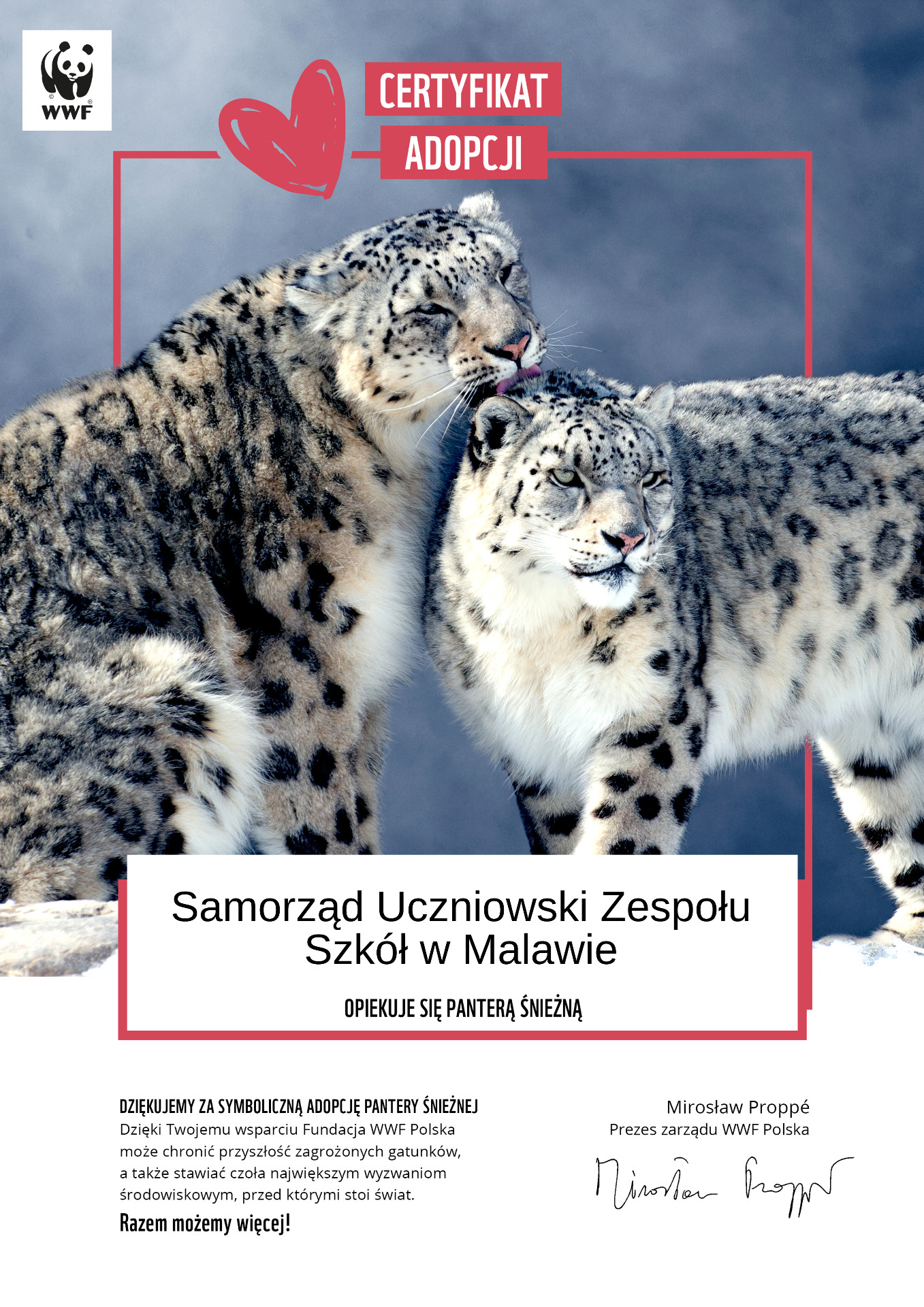 Wsparcie Fundacji WWF Polska - Obrazek 1