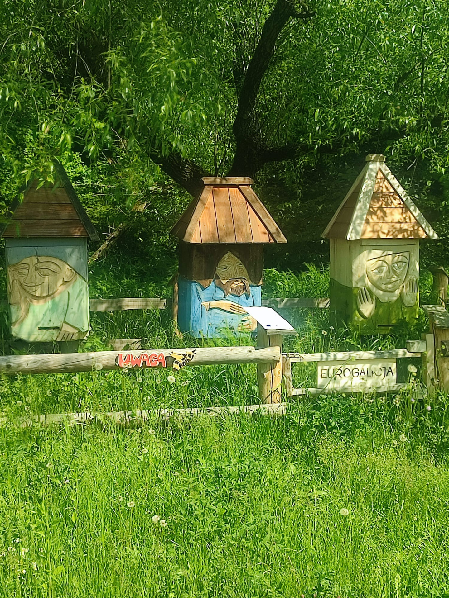 Światowy Dzień Pszczół w grupie "Misie" - Obrazek 3
