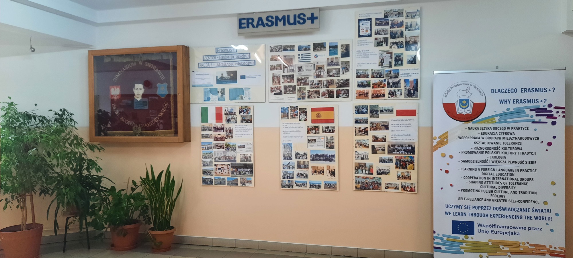 Akredytacja Erasmusa - gazetka i plakat