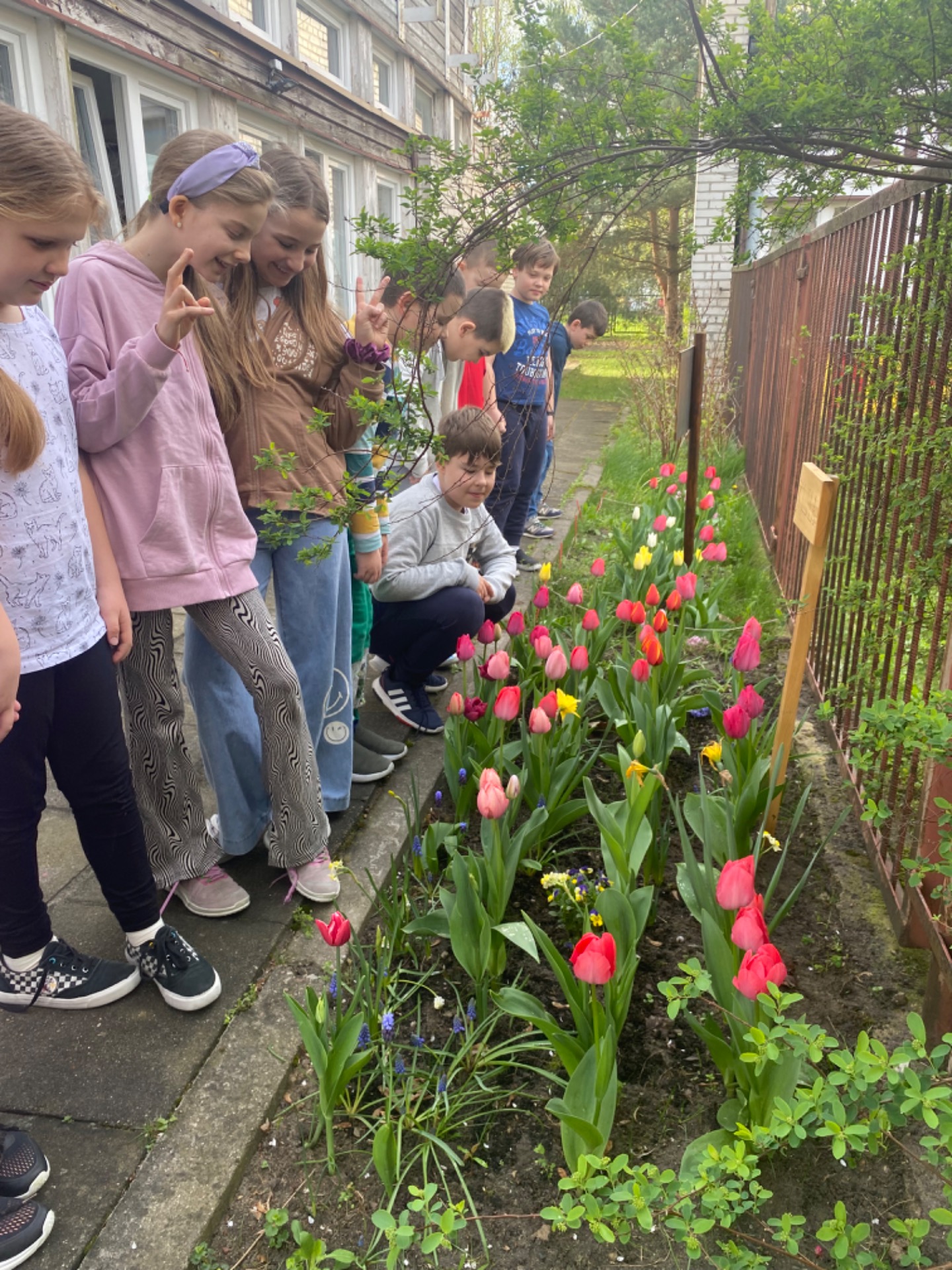 Dzieci podziwiają kwiaty w ogródku 