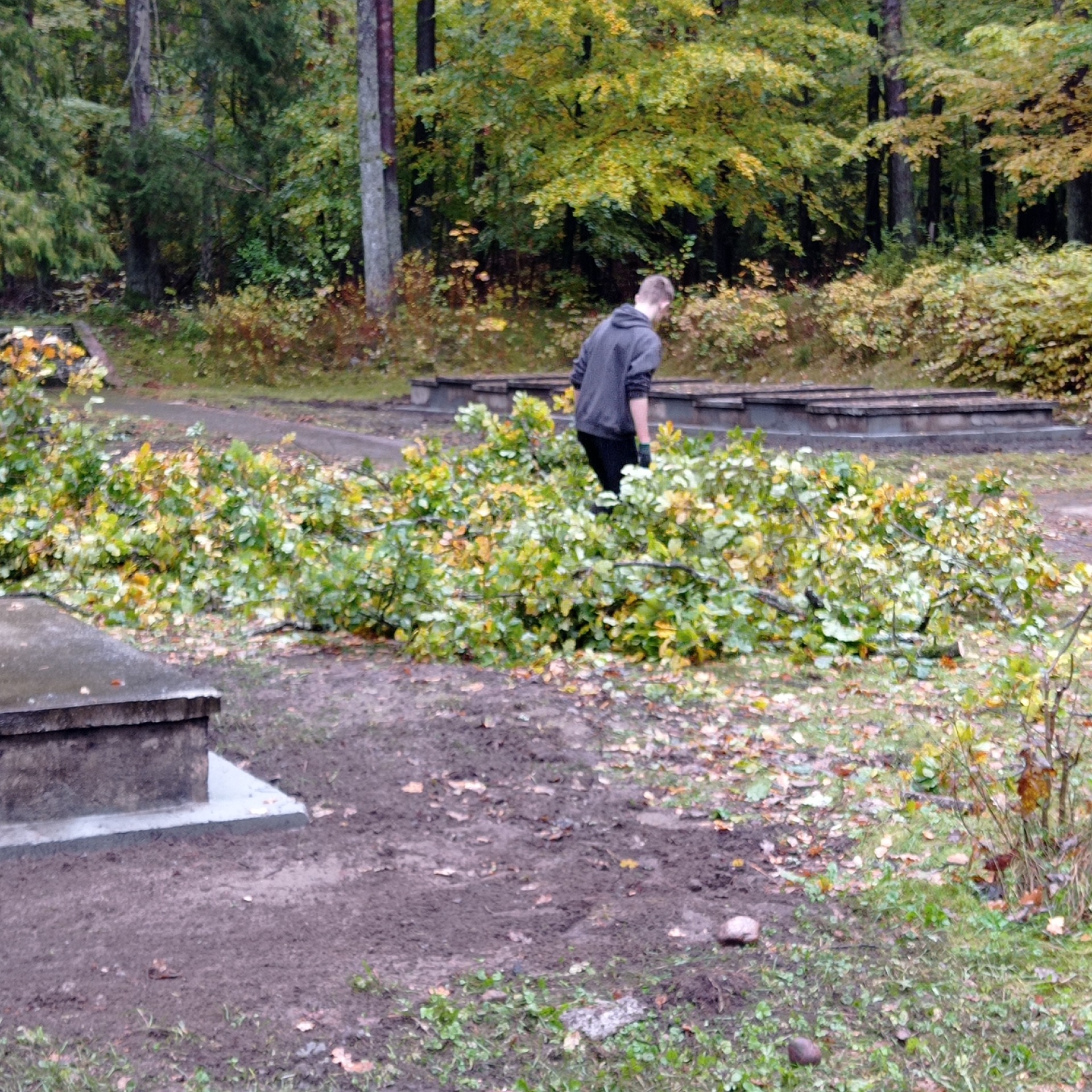 Sprzątanie cmentarza w Rybnie - klasy 7a i 8b - 26.10.2023 - Obrazek 2