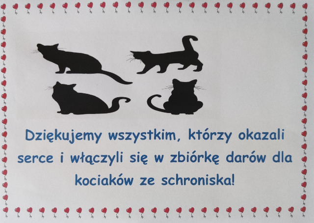 Zbiórka dla Kociaków Bezdomniaków zakończona!  - Obrazek 2