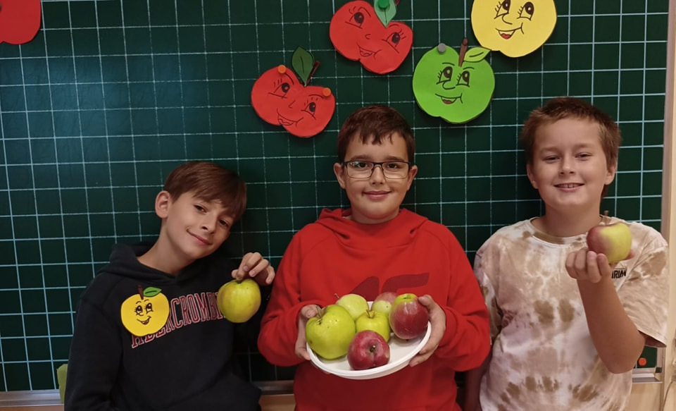Międzynarodowy Dzień Jabłka - Obrazek 5