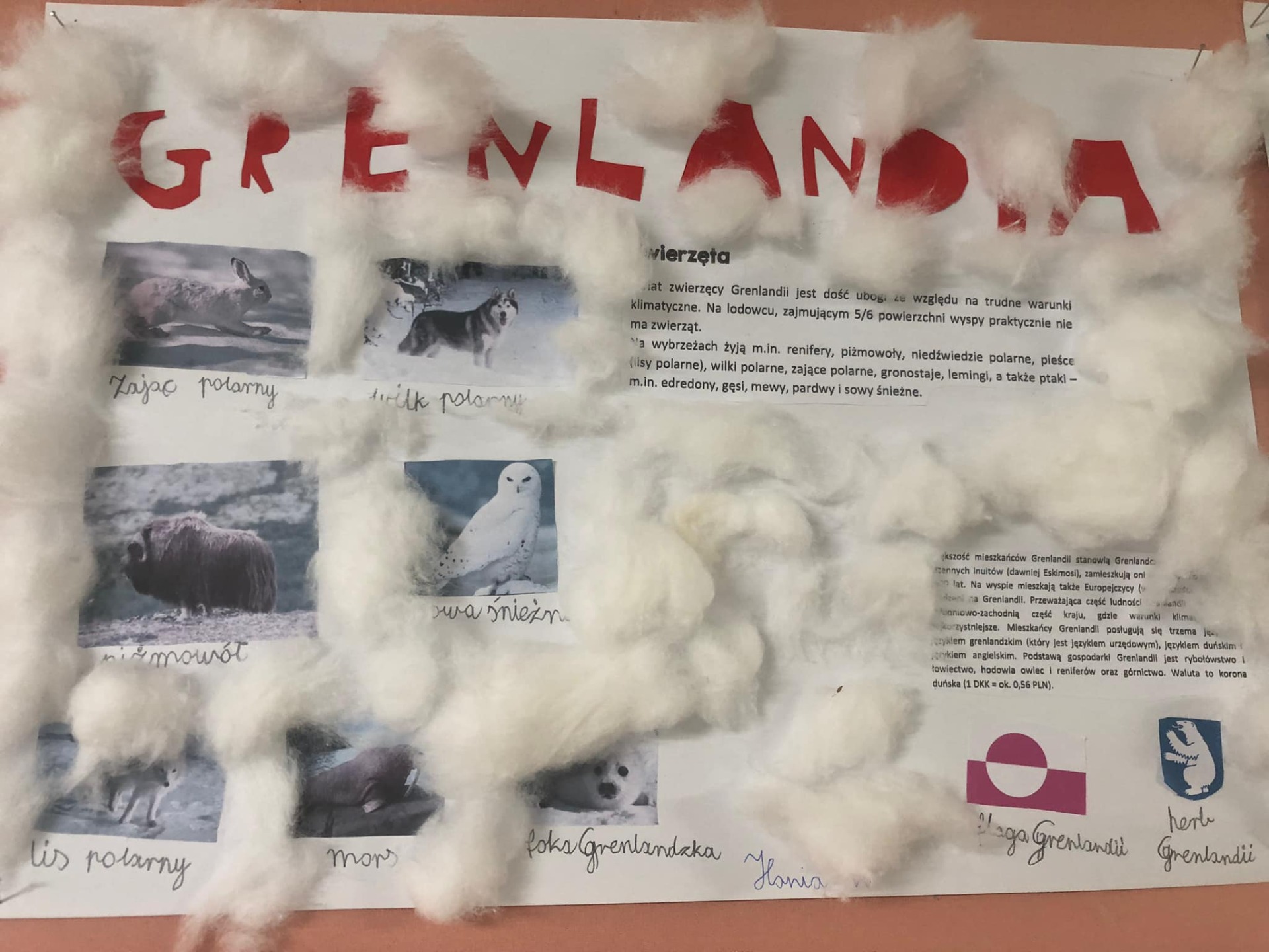 Projekt Grenlandia w klasie II A - Obrazek 2