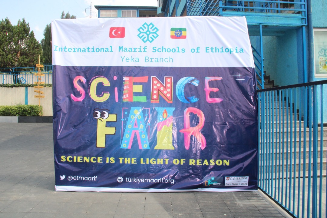 Science is the light of reason  - Image 4