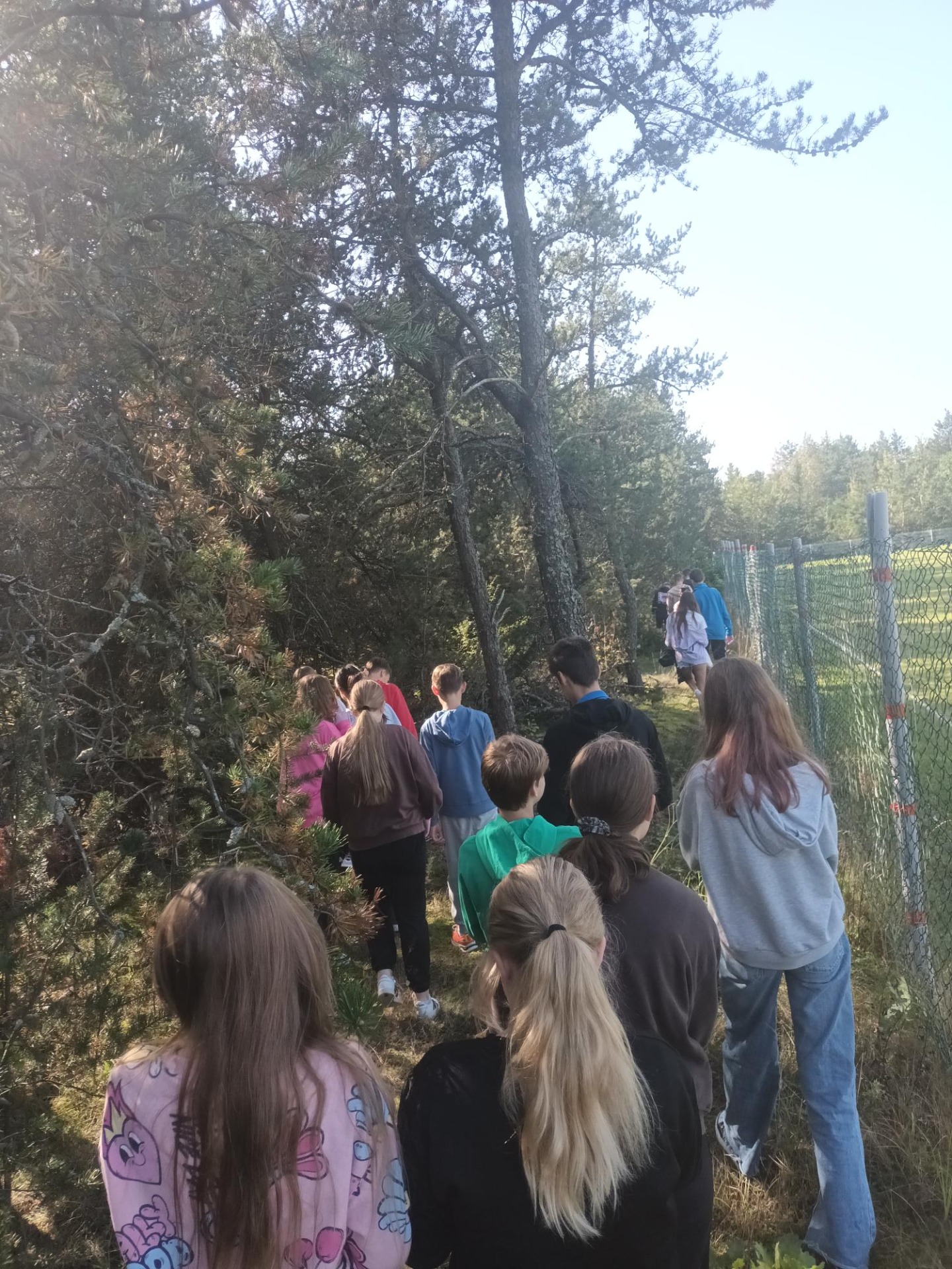 Uczniowie robią porządki w lesie przy szkole